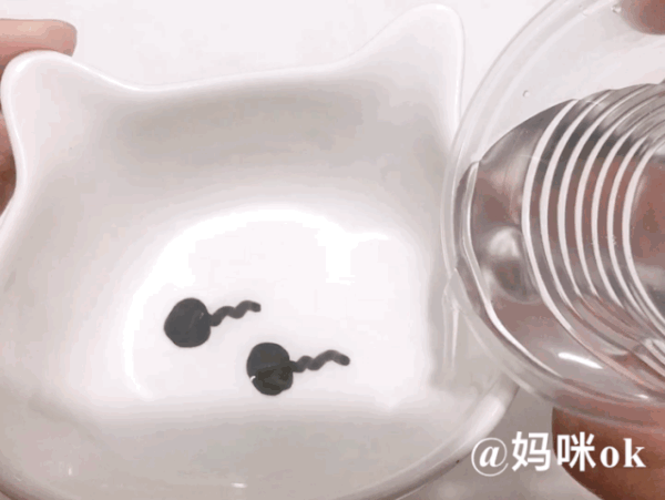自从做了这个透亮的Q弹蛋,我成了娃心中超厉害的妈!简单易上手的小实验好玩还能涨知识!