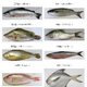 银鳕鱼和鳕鱼是一回事吗？哪些鱼高DHA又低汞，最适合宝宝吃？