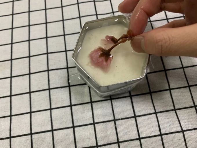 将春天装进蛋糕:樱花物语慕斯带你品尝最甜的春意
