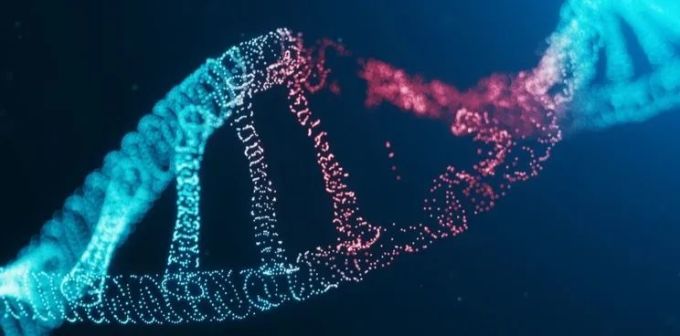 新冠疫苗全球竞赛,谁是终结疾病的屠龙刀?