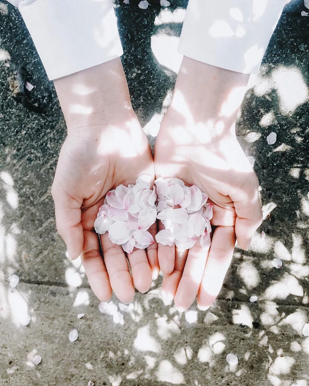 你把花拍再美，花也不会嫁给你！得拍妹子···