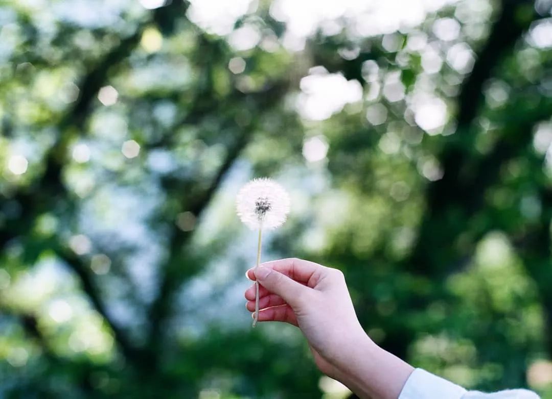 你把花拍再美，花也不会嫁给你！得拍妹子···