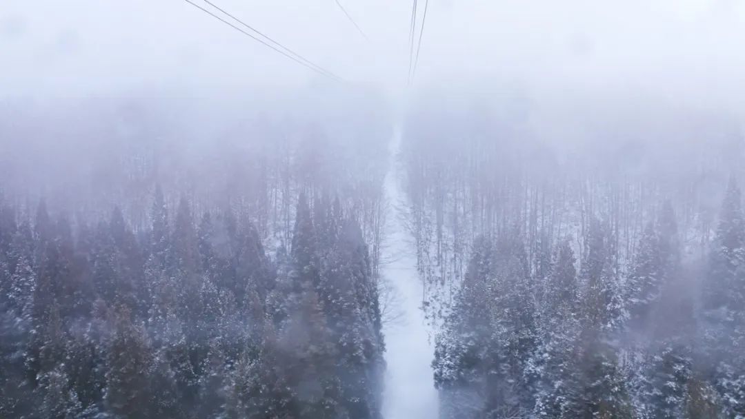 相机LIFE |  GR 影像逆旅：令和二年的日本