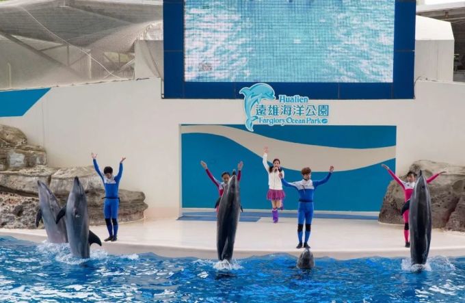 你知道,动物园里的许多动物过得并不开心么?