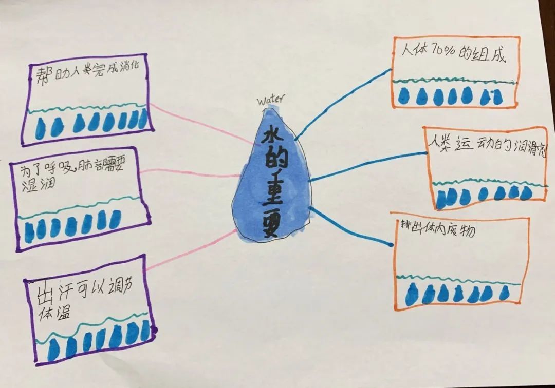 水的思维导图怎么画图片