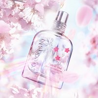 不出门也能赏樱花：欧舒丹 2020年春季限定幻彩晨樱系列已发售