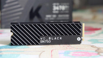 爱酱趣玩 篇四十：补齐短板释放高端电脑狂暴性能，WD_BLACK SN750 EKWB 1TB SSD评测 