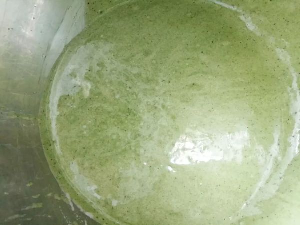 抹茶歌剧院蛋糕 | 春天味道的经典配方藏不住了!