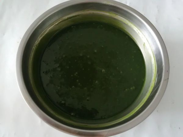 抹茶歌剧院蛋糕 | 春天味道的经典配方藏不住了!