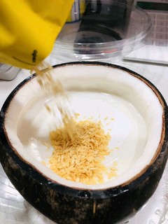 黄金椰粒椰奶冻