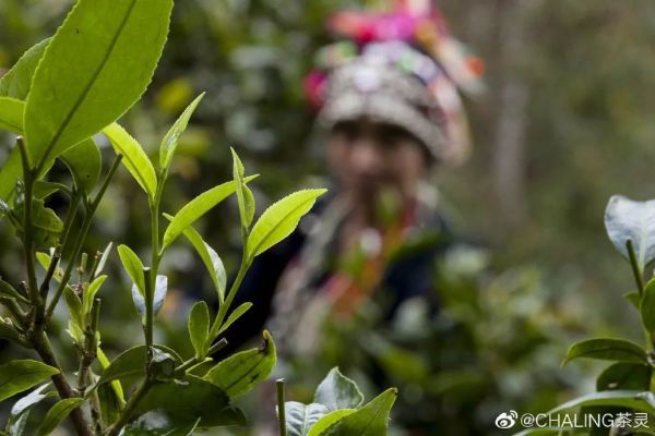 国风香水大合集,千年前的香味我都给你收来了!