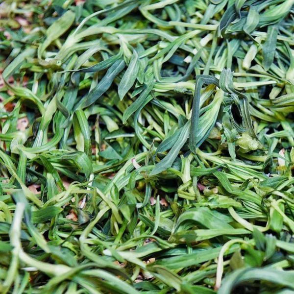一年一季头把乡野菜,对不起这种“野”我戒不掉