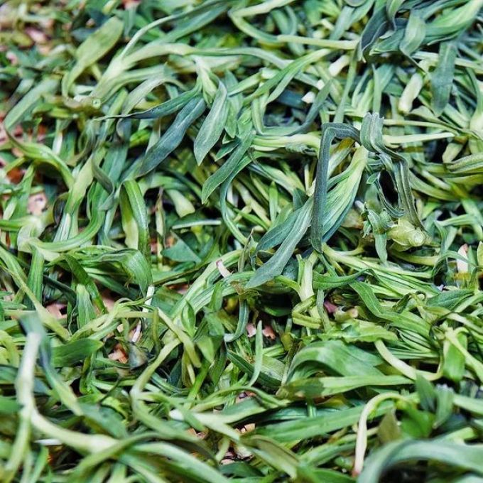 一年一季头把乡野菜,对不起这种“野”我戒不掉