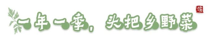 一年一季头把乡野菜,对不起这种“野”我戒不掉