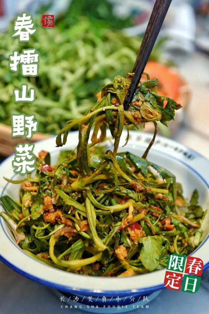 一年一季头把乡野菜,对不起这种“野”我戒不掉