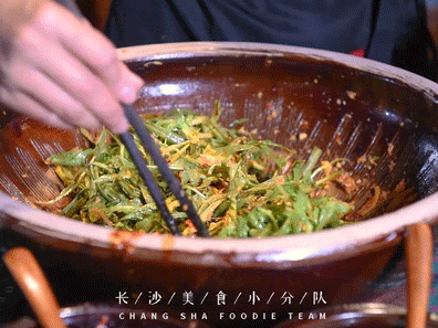 一年一季头把乡野菜,对不起这种“野”我戒不掉