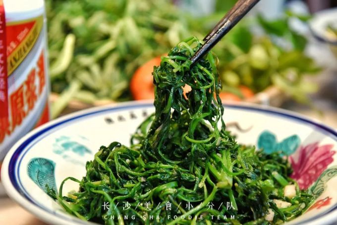 一年一季头把乡野菜,对不起这种“野”我戒不掉