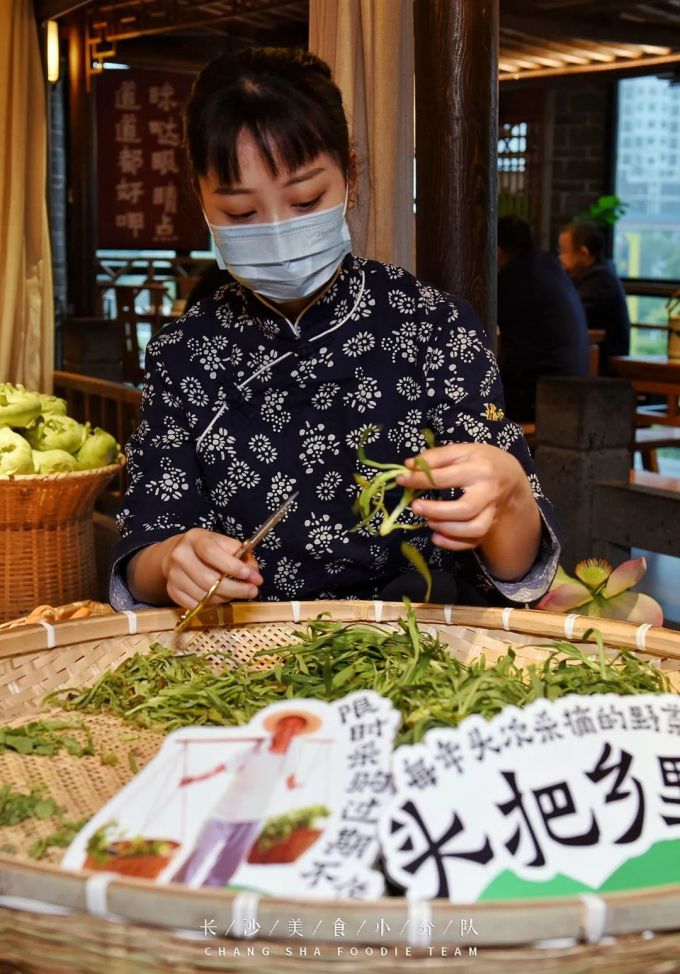 一年一季头把乡野菜,对不起这种“野”我戒不掉