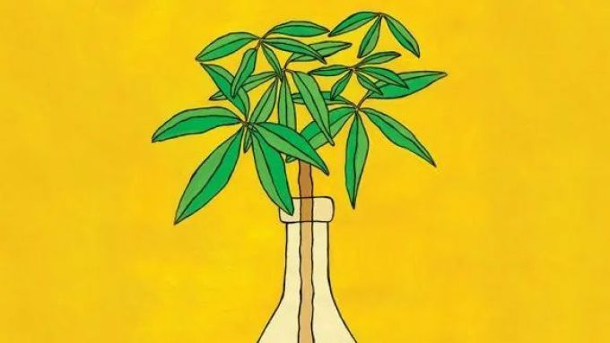 自然酒合法了!自然酒党们,是时候站起来了