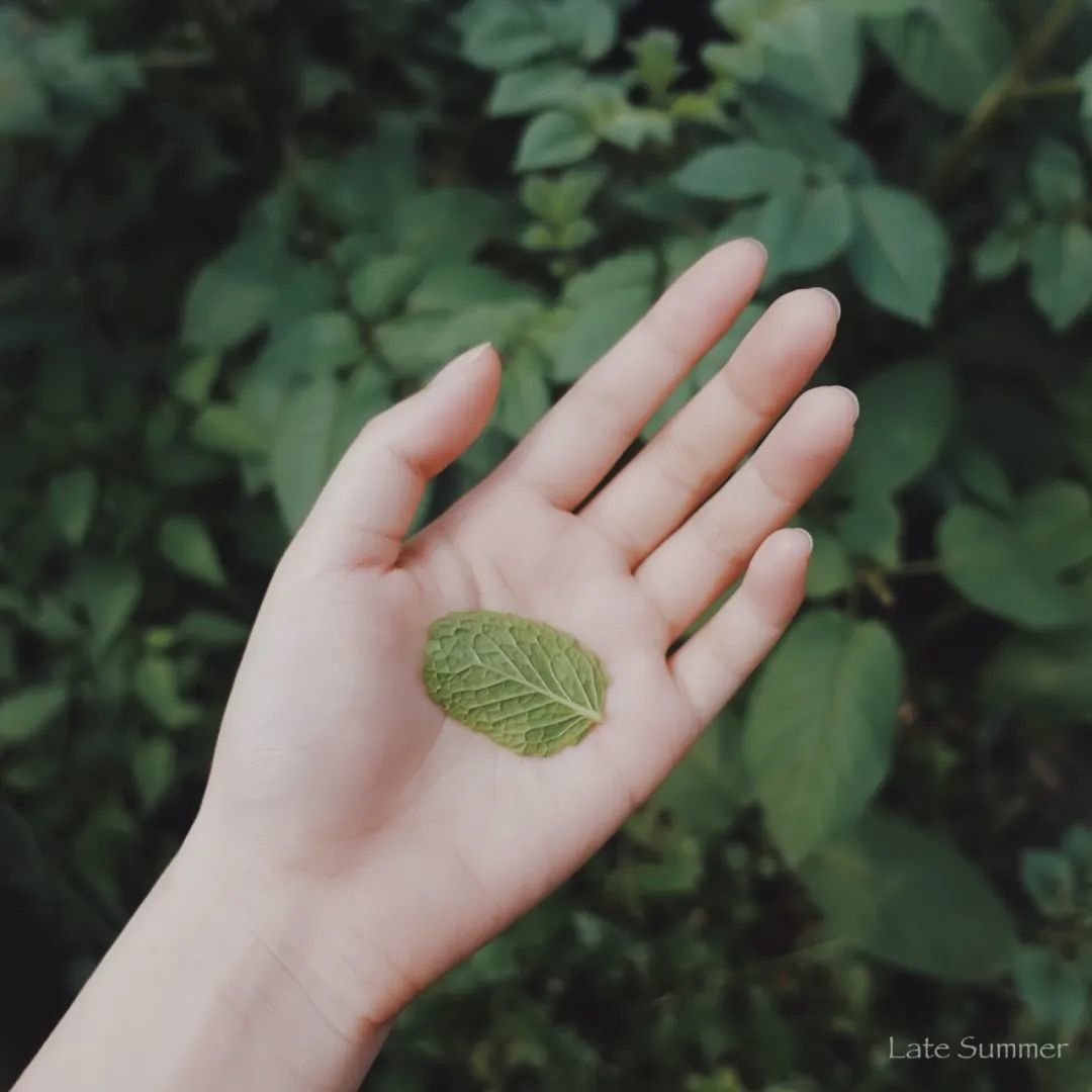 春天的 100 种拍法，每一种都太太太好看了！