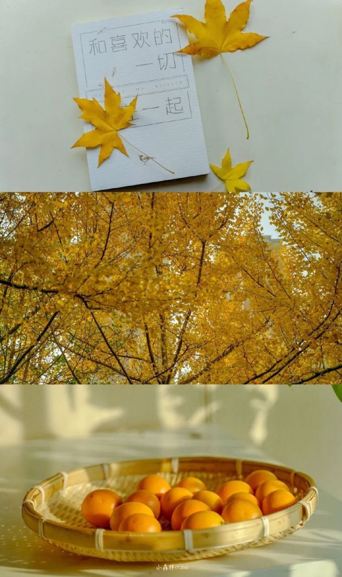假 如 摄 影 师 不 拍 人 像 ...