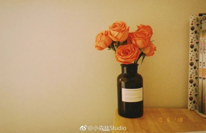 假 如 摄 影 师 不 拍 人 像 ...