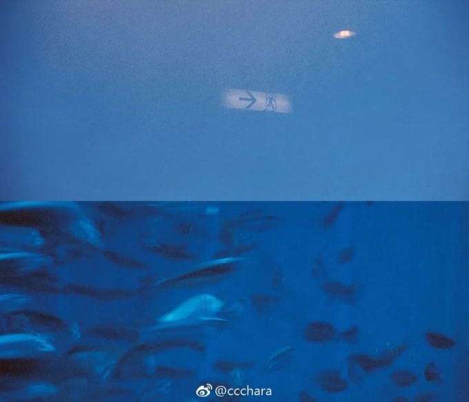 假 如 摄 影 师 不 拍 人 像 ...