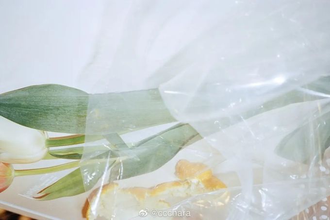 假 如 摄 影 师 不 拍 人 像 ...