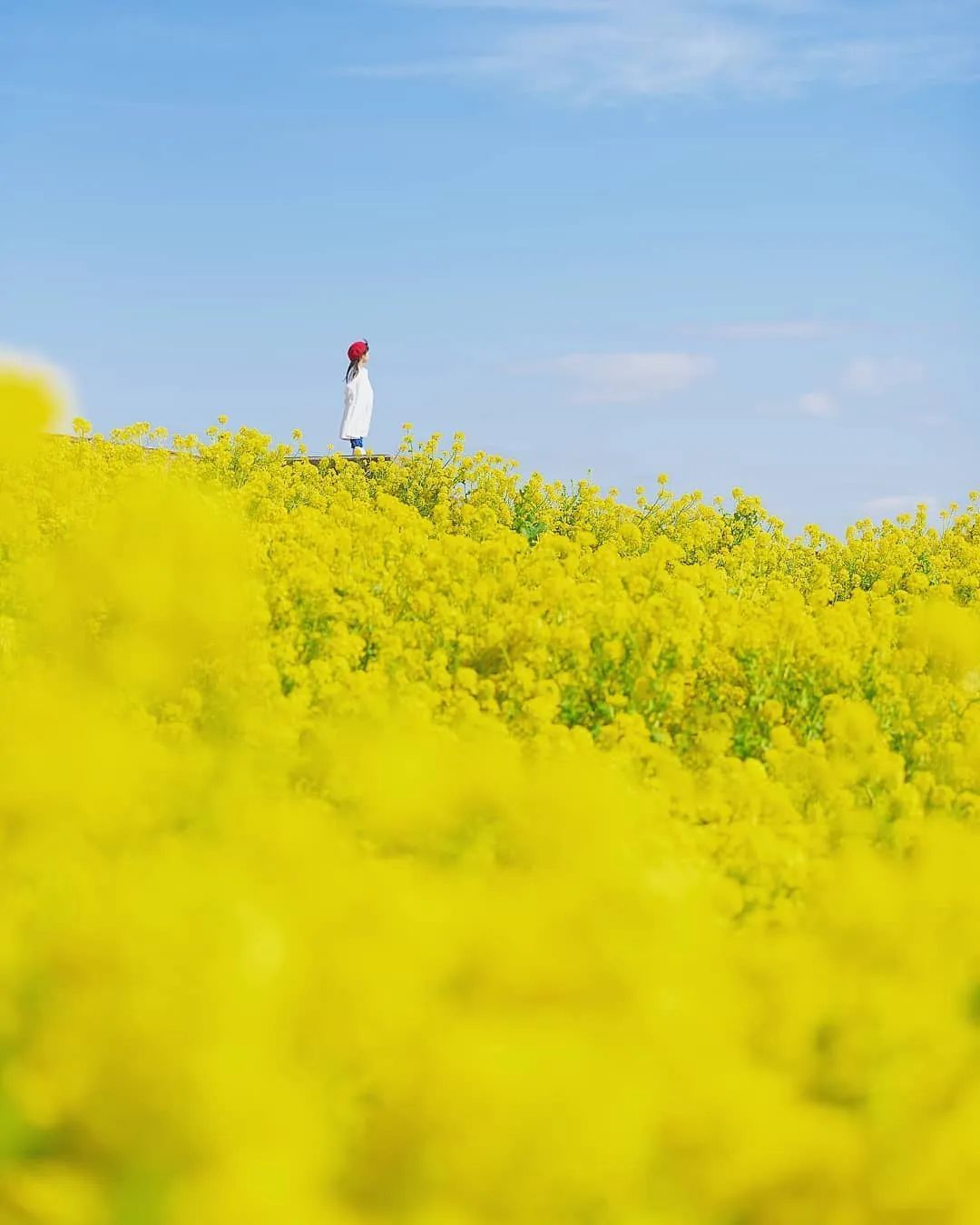 摄影师爸爸太酷！带娃去旅拍，每一张都像动漫场景