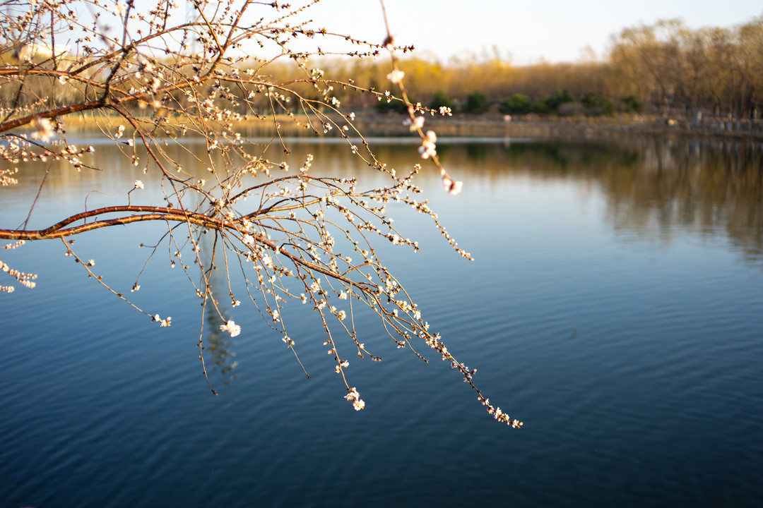 这是什么神仙镜头？铭匠光学 M35mm f/1.4开箱体验