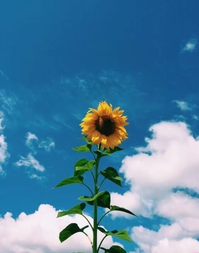 今年春夏千万别穿这6组配色,太太太太太太太美了!