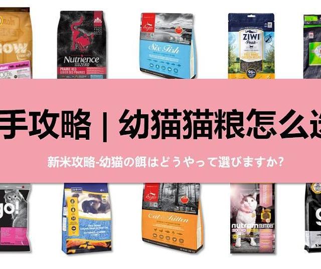 新手养猫请做笔记 l ≤12月幼猫的猫粮怎么选购