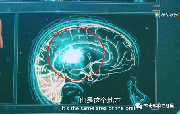 BBC最新的纪录片颠覆认知、宝宝的心理活动、堪比宫斗剧！