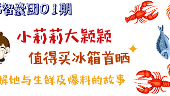 首席智囊团01期：小莉莉大颖颖冰箱首晒，了解她与生鲜及爆料的故事~