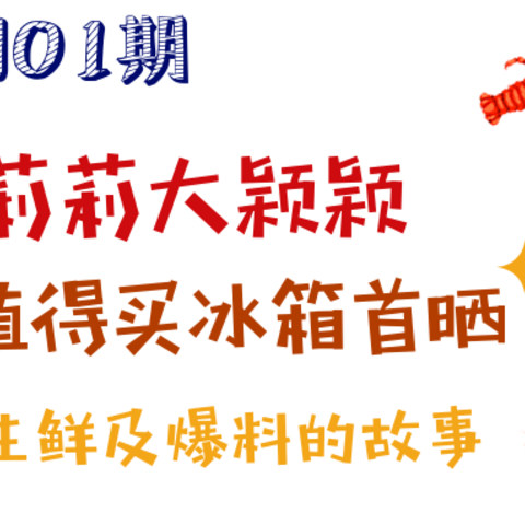 首席智囊团01期：小莉莉大颖颖冰箱首晒，了解她与生鲜及爆料的故事~