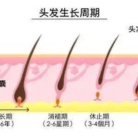 拯救发际线的正确方式、防脱发、生发深度科普！看完这篇不会秃。。。。