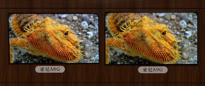 索尼 A8G A9G OLED电视实际观感点评