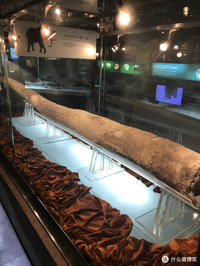 盤點(diǎn)京滬9個適合帶娃逛的博物館、科技館 學(xué)玩兩不誤！