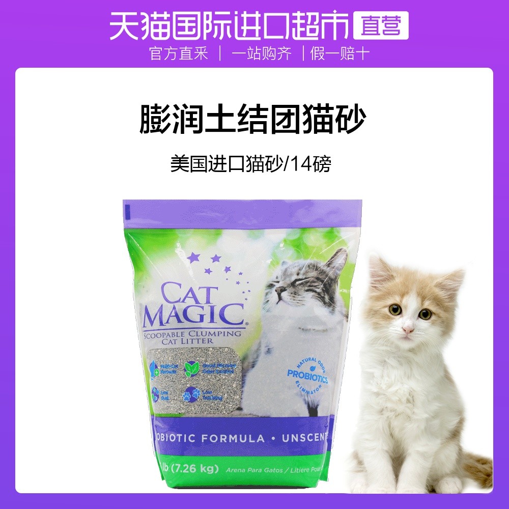 新手养猫指南——养猫一年我花了多少钱？看完我震惊了