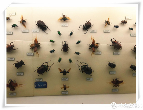 盤點(diǎn)京滬9個適合帶娃逛的博物館、科技館 學(xué)玩兩不誤！