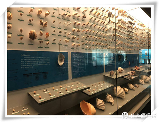 盤點(diǎn)京滬9個適合帶娃逛的博物館、科技館 學(xué)玩兩不誤！
