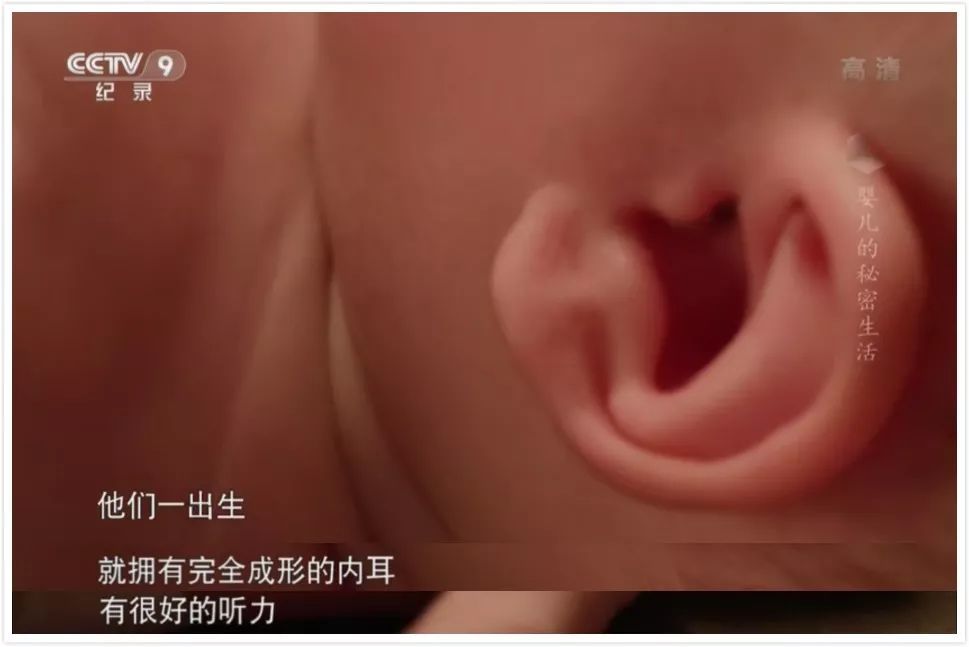 宝宝什么都不懂？这部高分BBC纪录片揭示婴儿可爱外表下的惊人秘密！