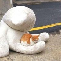 睡不好巨暴躁？隔音耳塞要不要试试？