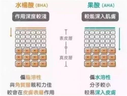 混油皮，也许是最难搞的肤质