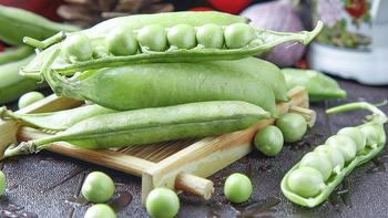 宅家吃什么？ 篇二十二：拖家带口的植物——豌豆 