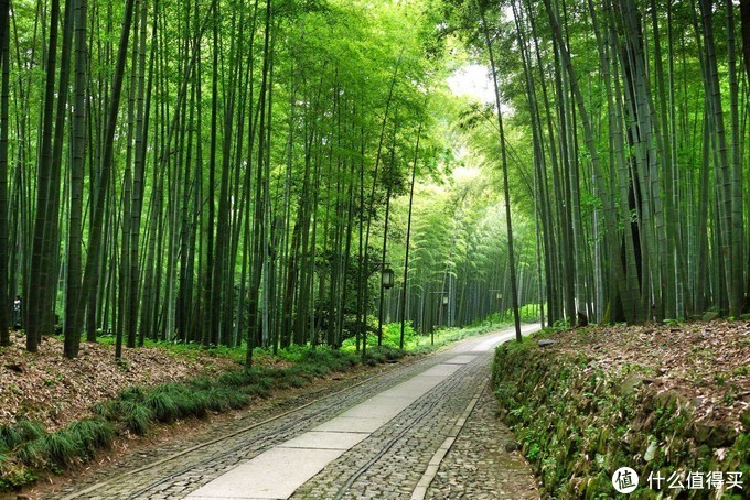 不出市区！解锁隐藏玩法！杭州西湖边9条线路推荐给你！当地人也会去！超全的！