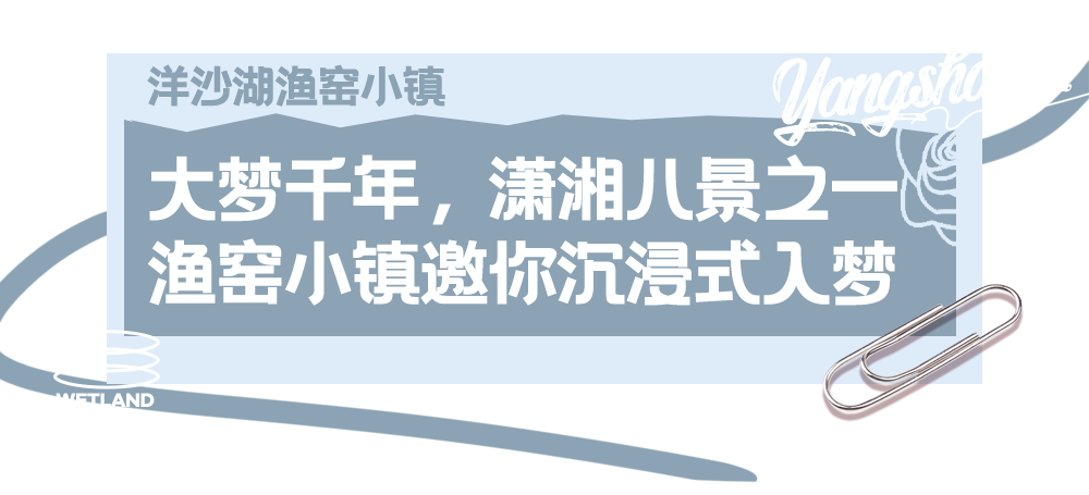 藏于长沙周边的“秘密花园”！千亩绝美花海邀你定格春日之美~