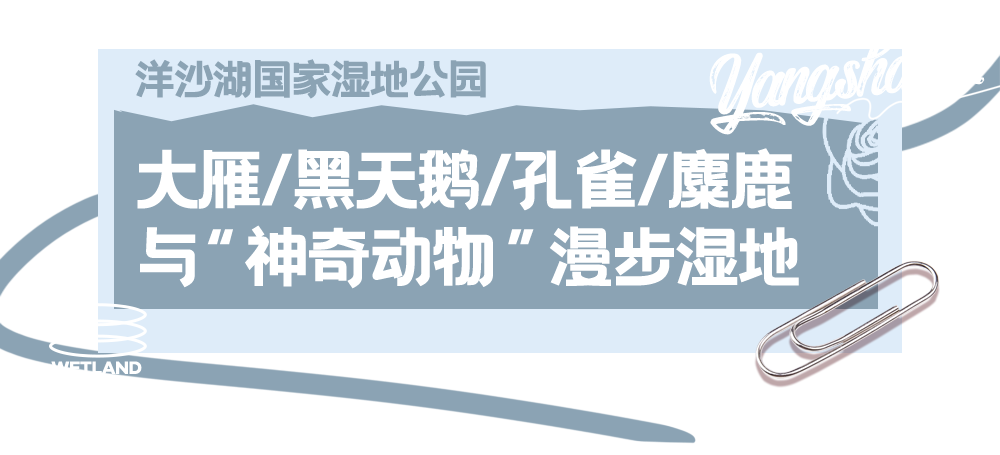 藏于长沙周边的“秘密花园”！千亩绝美花海邀你定格春日之美~