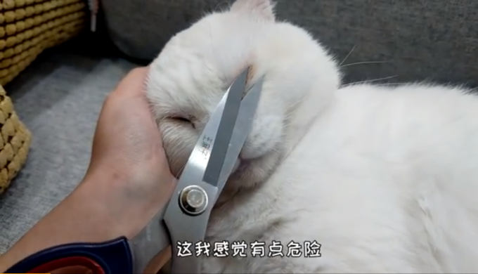 完美侧颜女孩,都赢在这个小细节上
