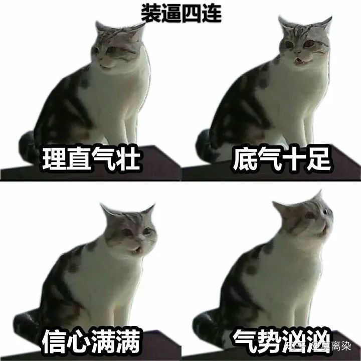 “我的猫每天都孤零零坐在门口，等我回家。”